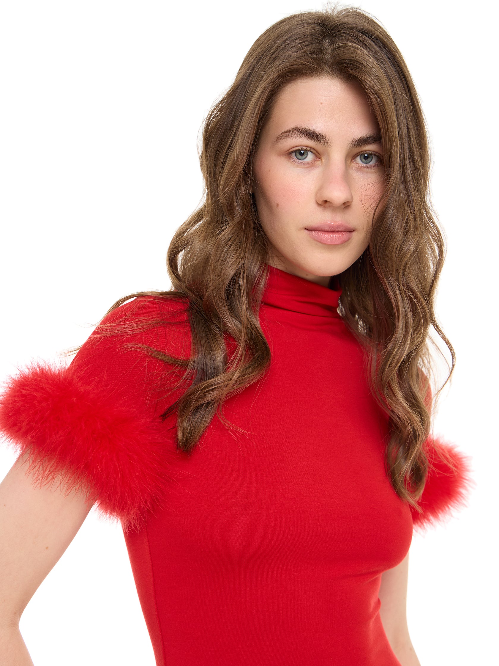 BERRY DRESS